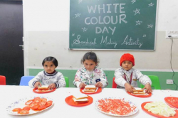 MV International School Galley Image 4