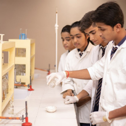 Seth M.R. Jaipuria School Galley Image 4