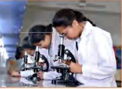 Rukmani Birla Modern High School Galley Image 4