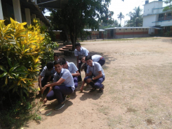 Schools in Ernakulam, Vyasa Vidyanikethan School, Vyasa Nagar, Thodaparambu Koovappady P O, Perumbavoor, Perumbavoor, Ernakulam