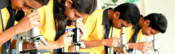 ROYAL GONDWANA PUBLIC SCHOOL Gallery Image 2