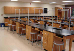 Vidyanjali Primary and High School Galley Image 3