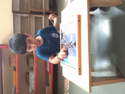 Rays Montessori House of Children Galley Image 4