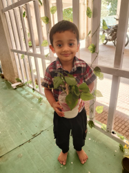 Pre schools, Playschools schools in Dadar West, Mumbai, Mindseed Preschool & Daycare, G-2, Maplawadi C.Hsg. Society,  S.Keer Marg, Bhandar Gali,  Next to Kakkad Industrial area,  Opp. Lokmanya Tilak school,  Mahim West, Mahim, Mumbai