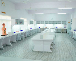 Sree Sarada Vidyalaya Gallery Image 4