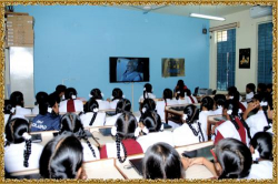 Jawahar Navodaya Vidyalaya Gallery Image 2