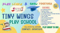 Pre schools, Playschools schools in Sector 9, Gurgaon, Tiny Wings Play School Sector 10A,  1159, Urban Estate, Sector 10A, Sector 10A, Gurugram