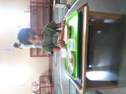 Rays Montessori House of Children Galley Image 4
