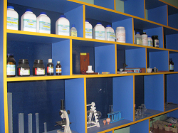 RAINBOW PUBLIC SCHOOL Galley Image 4
