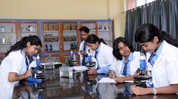 Adamas World School Galley Image 4
