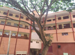Day School near Jp Nagar Phase 1, Bangalore, JSS Higher Primary School, 38, 8TH BLOCK,JAYANAGAR   , Jayanagar, Bengaluru