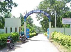 Cover Pic