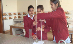 RAO RAM JIWAN SINGH D A V PUBLIC SCHOOL Gallery Image 3
