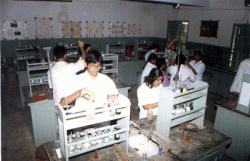 Padma Seshadri Bala Bhavan Senior Secondary School Galley Image 3