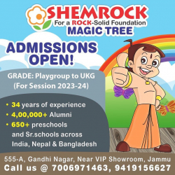 Shemrock Magic Tree Galley Image 2