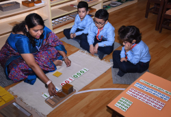 American Montessori Public School Gallery Image 4