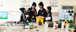 Garden Valley International School Gallery Image 4