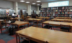 Diamond Public School Galley Image 2
