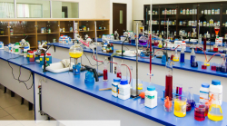 GIDDANAHALLI PUBLIC SCHOOL Galley Image 2