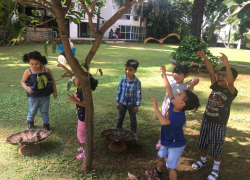 Outdoor Play Area