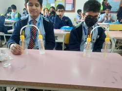 Tattva School Galley Image 4