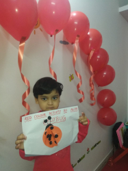 Little Pebbles International Preschool Gallery Image 4