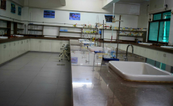 Anand Niketan School Galley Image 4
