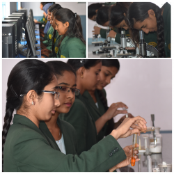 Shanthiniketan PU College - Ramanagara Galley Image 4
