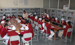 Scholars Public School Galley Image 4