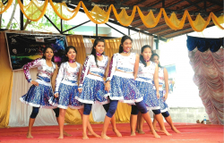 School Exchange Programs