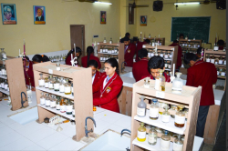 Manas Sthali Residential School Galley Image 4