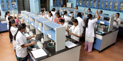 Best PU Colleges in Bangalore, Maharani Lakshmi Ammanni College for Women, 18th Cross Road, Malleshwaram, Bengaluru, Karnataka, Malleshwaram, Bengaluru