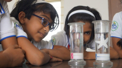 Nurture International School Galley Image 4