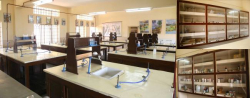 Carmel School Galley Image 3