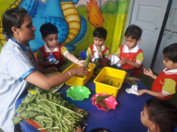 Vedaant Pre School Galley Image 4