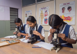 VET school ,J P Nagar Galley Image 4