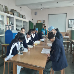 GURU NANAK PUBLIC SCHOOL Galley Image 4
