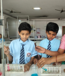 SWAMI AWADHESHANAND PUBLIC SCHOOL Gallery Image 4