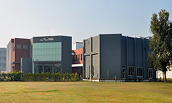 MIND TREE SCHOOL Galley Image 1