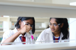 GOLDENBEE GLOBAL SCHOOL - Bannerghatta Galley Image 4