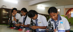 ICSE Schools in Deoghar, Madhusthali Vidyapeeth, P.O. Madhupur Salaiya, Deoghar, Deoghar