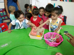 Pre schools, Playschools schools in Vasundhara Sector 2C, Ghaziabad, RISEKIDS PRE SCHOOL, PLOT NO. 1/53 & 1/54, SECTOR-1, VASUNDHARA, Sector 1,Vasundhara, Ghaziabad