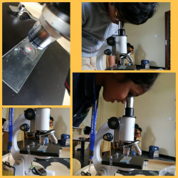 The Green School Bangalore Galley Image 4