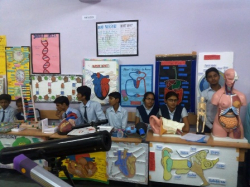 Jawahar Navodaya Vidyalaya Gallery Image 3