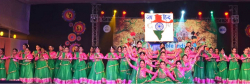 Andhra Education Society Dr.Durgabai Deshmukh Memorial Senior Secondary School Galley Image 3