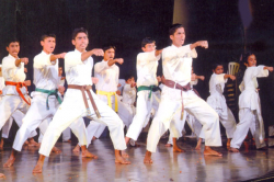ACHALA VIDYA MANDIR Galley Image 4