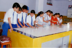 Ambala Public Senior Secondary School Galley Image 4