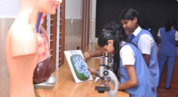 Isabella de Rosis Public School Galley Image 3