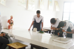 Eastwood International School Gallery Image 3