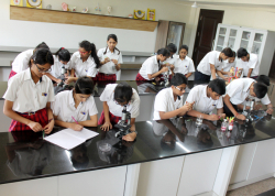 AMBIENCE PUBLIC SCHOOL Galley Image 4